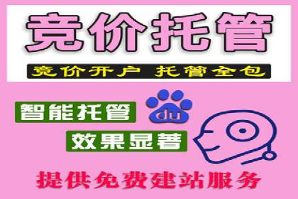 信息流广告优化成功案例剖析